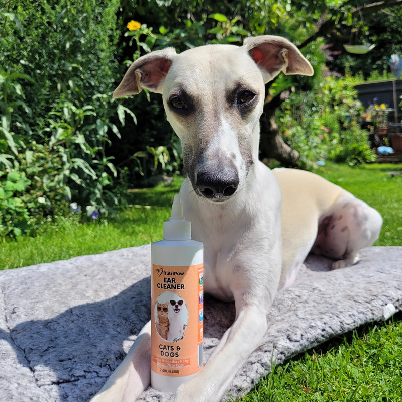 NutriPaw Ear Cleaner For Cats & Dogs (250ml) - Soothe Itchy, Gunky, Waxy & Smelly Ears - Stop Head Shaking, Ear Scratching & Rubbing - Support Ear Health - For Daily Use - Great for all pets