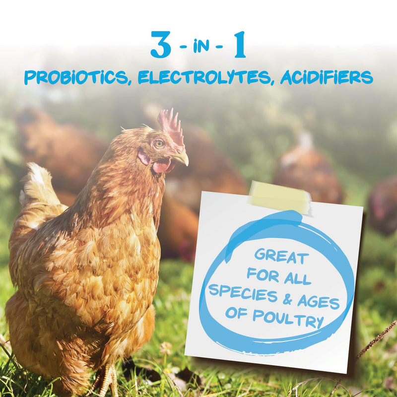 Manna Pro Hydro-Hen Poultry Electrolyte & Probiotic Supplement, Hydration Support for Chickens, Ducks, Turkeys & Waterfowl, 20 oz 1.25 Pound (Pack of 1)