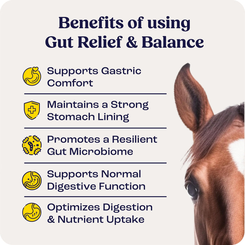 Gut Relief & Balance
