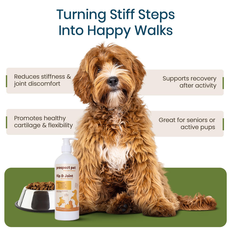Hip and Joint Supplement for Dogs - Glucosamine with Plant-Based Chondroitin, MSM & Pumpkin - Advanced Joint Relief Dog Supplements for Large & Small Breeds - USA Made 16OZ