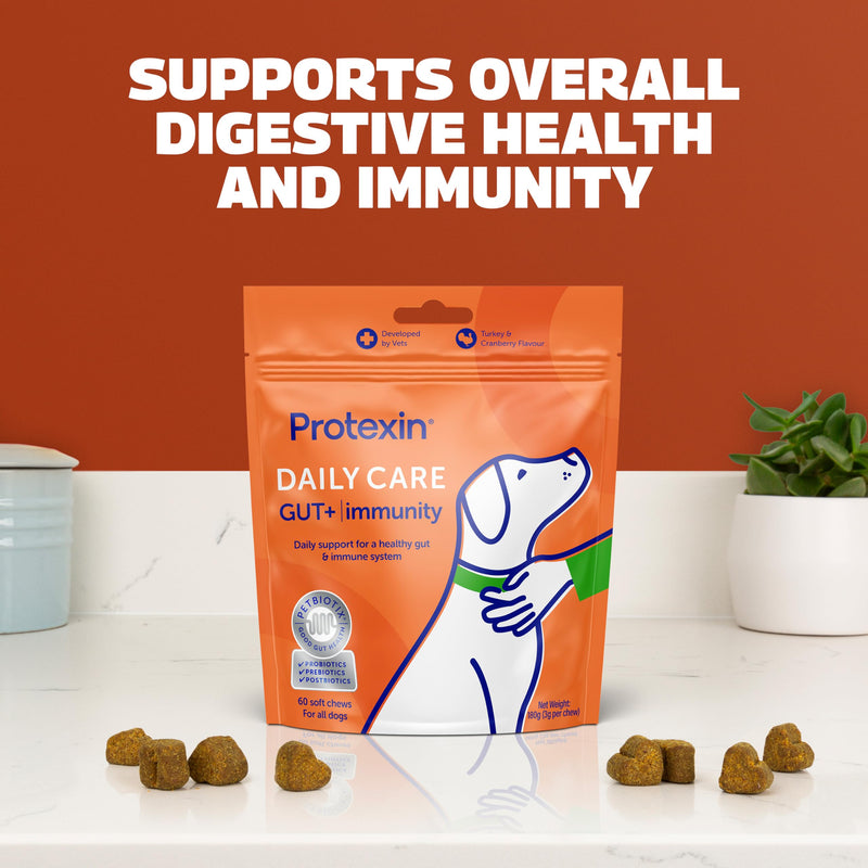 Protexin Daily Care Gut+ Immunity – Probiotic, Prebiotic & Postbiotic Chews for Dogs – Supports Gut Health, Immune Function & Digestion – Turkey & Cranberry Flavour – 60 Soft Chews