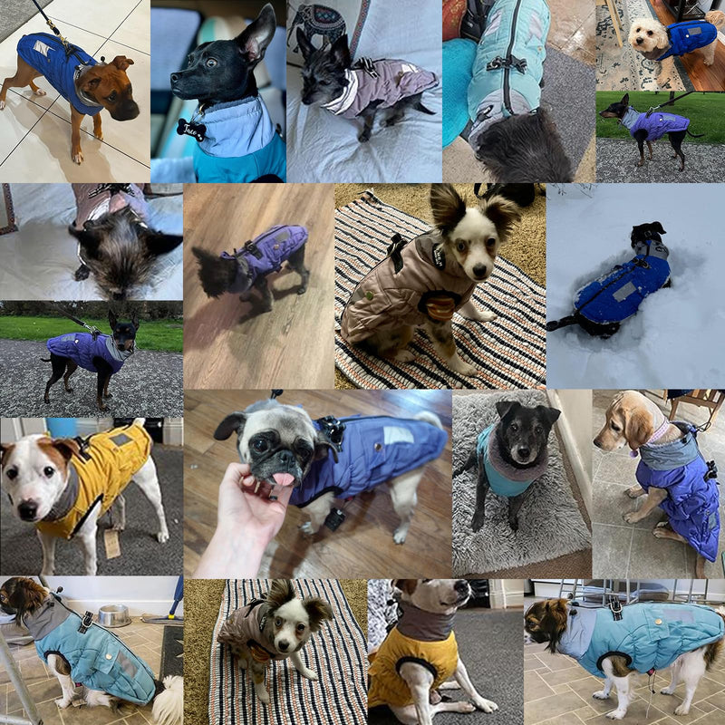 Gyuzh Dog Coat Jacket Vest Clothes Dog Harness Coat Adjustable Reflective Dog Jackets with Pockets and Faux Fur Collar Winter Waterproof Dog Coats for Small Medium Large Dogs (Medium, Purple) - BeesActive Australia