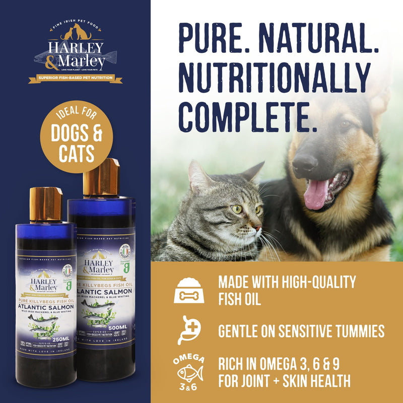 Harley & Marley Finest Atlantic Salmon Oil for Dogs & Cats - Pure Irish Fish Oil Supplement with Omega 3, 6 & 9 -Natural Ingredients for Healthy Skin, Coat, Joints & Heart Support - 250ml