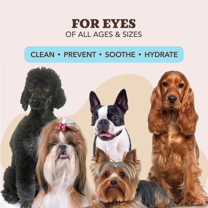 Natural Dog Company Dog Eye Wipes for Tear Stains & Eye Discharge, 100 Count – Gentle Eye Cleaning Wipes for Dogs with Aloe Vera & Witch Hazel, Removes Buildup & Eyes Gunk Eye Wipes 100 100 Count (Pack of 1)