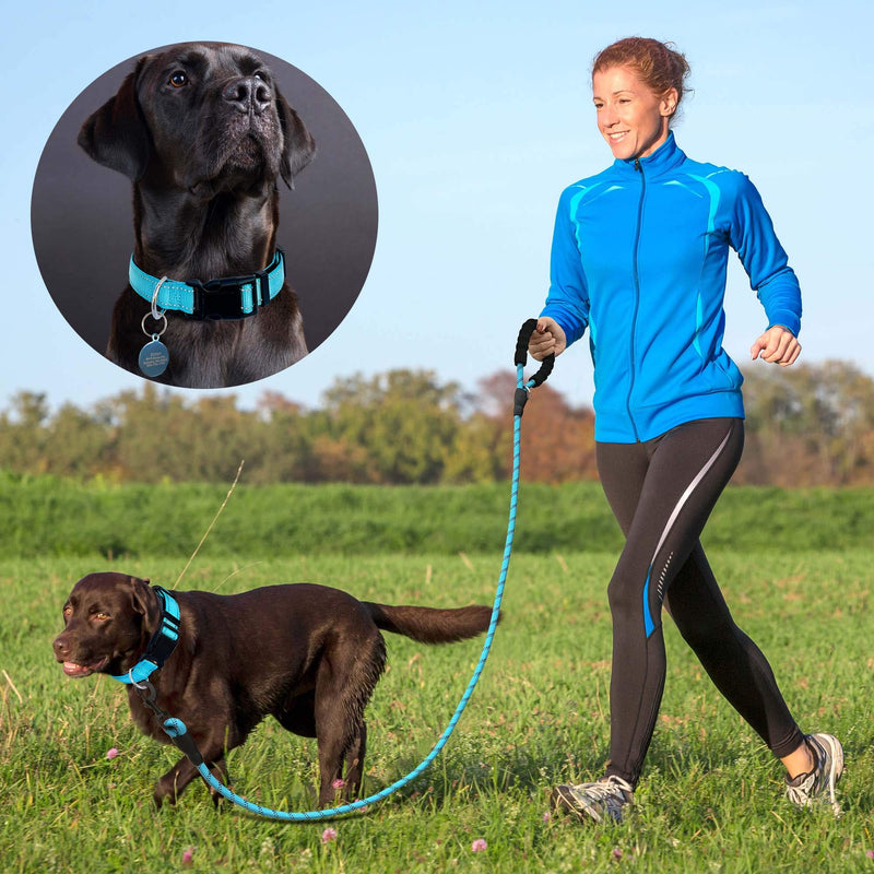 Reflective Dog Collar Padded with Soft Neoprene Breathable Adjustable Nylon Dog Collars for Small Medium Large Dogs (Medium (Pack of 1), Blue Collar+Leash) Medium (Pack of 1) - BeesActive Australia