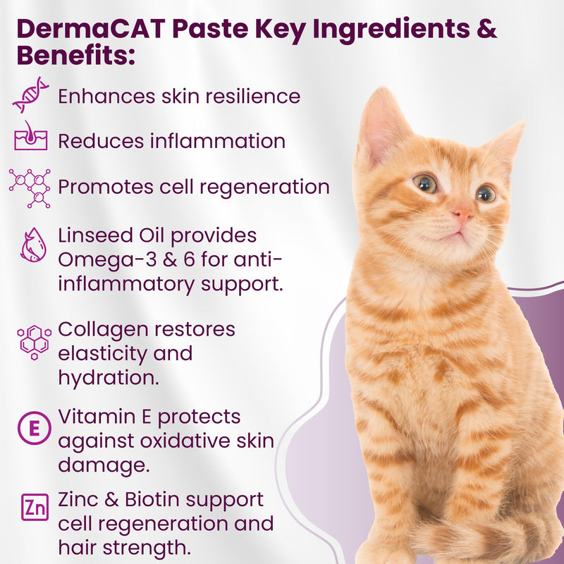 Bio PetActive DermaCAT Skin & Coat Health Supplement Paste for Cats with Biotin, Flaxseed Oil Omega-3, Collagen, Zinc, Prebiotic MOS & Vitamin E – Supports Shiny Coat, Minimize Shedding – 3.38 oz