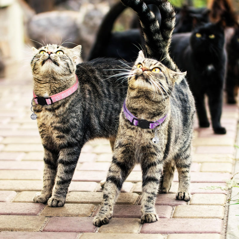 BESPORTBLE 16 PCS Breakaway Cat Collars with Bells: Safety Reflective Cat Collar Breakaway Nylon Kitten Collars Cat Collars for Girl Boy Cats(7.5-12.6) - BeesActive Australia