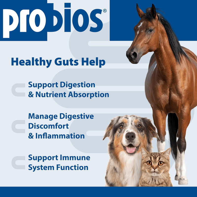 Probios Digestive Support Probiotic for Dogs, Horses, Cats, Gut Health Powder for All Species, Daily Supplement for Digestion Immune Support, 240 Grams (Pack of 2) 8.46 oz (Pack of 2)