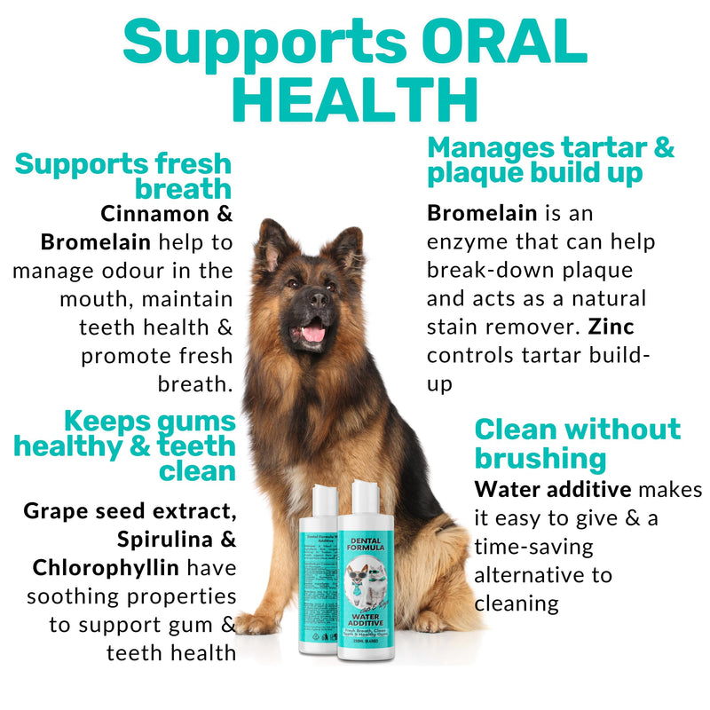 NutriPaw Dental Formula Water Additive For Dogs & Cats - Clean Teeth, Healthy Gums & Fresh Breath - Manage Plaque & Tartar Build-Up - Fuss-Free - No Brushing Needed - Cat/Dog Mouthwash & Oral Health Single Pack