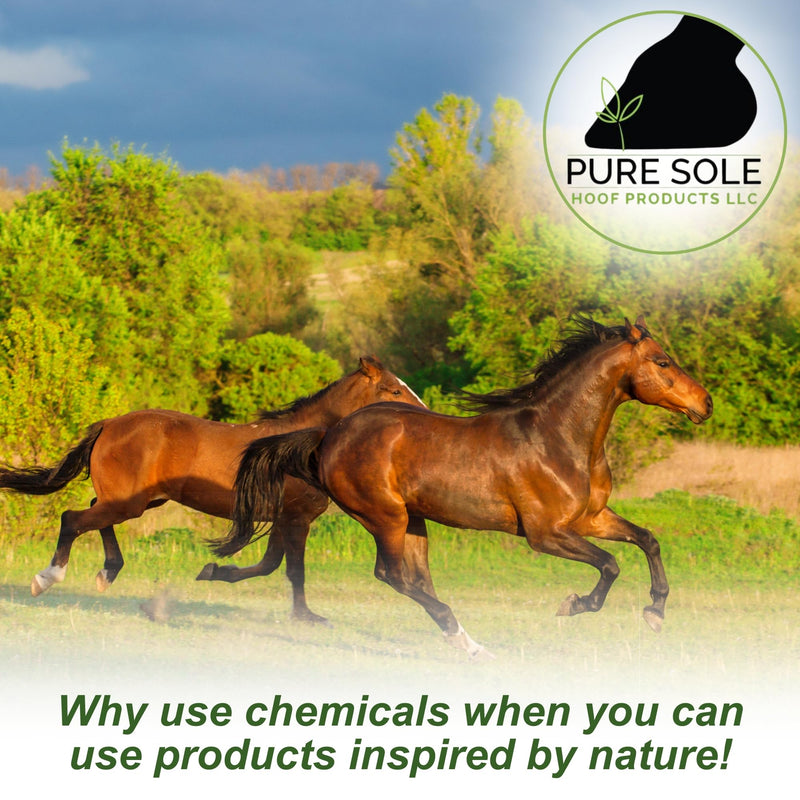 Pure Sole Severe Thrush Treatment for Horses - Hoof Cleanse (16 oz.) and Thrush Dust Powder (2 oz.) Bundle
