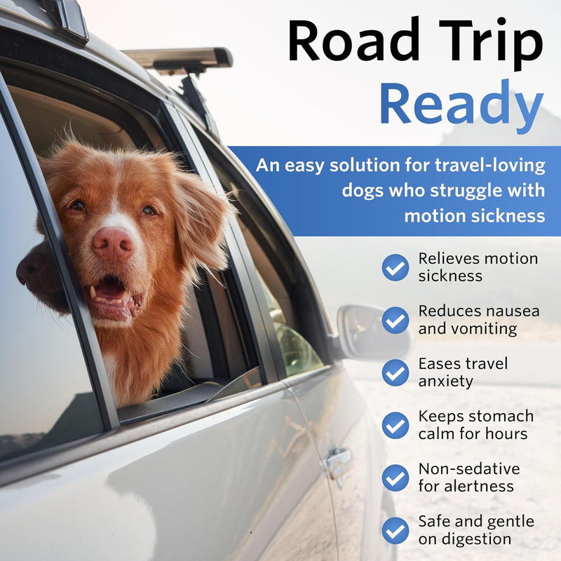 Anti-Motion Sickness & Relief for Dogs, MEDIUM 16 - 50lbs Medium Breed Dogs - BeesActive Australia