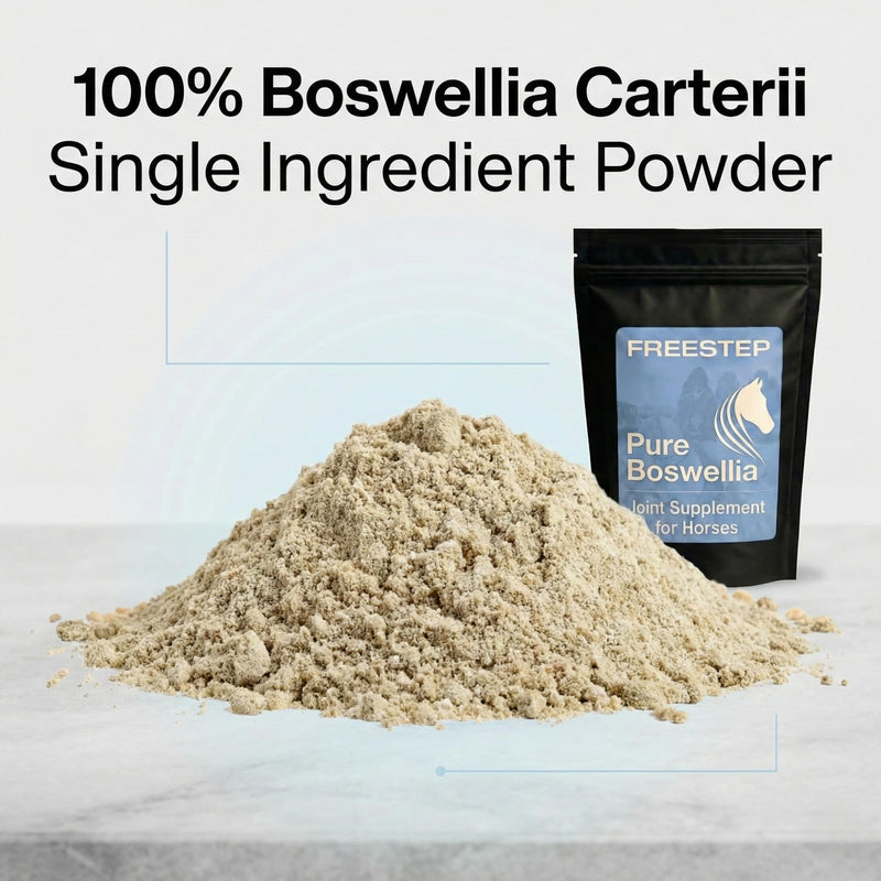 Pure Boswellia for Horses | Boswellia Carterii Powder for Joint and Mobility Support | Natural Horse Joint Supplement for Mobility Comfort | Serrata Alternative 250g | 2 Month Supply