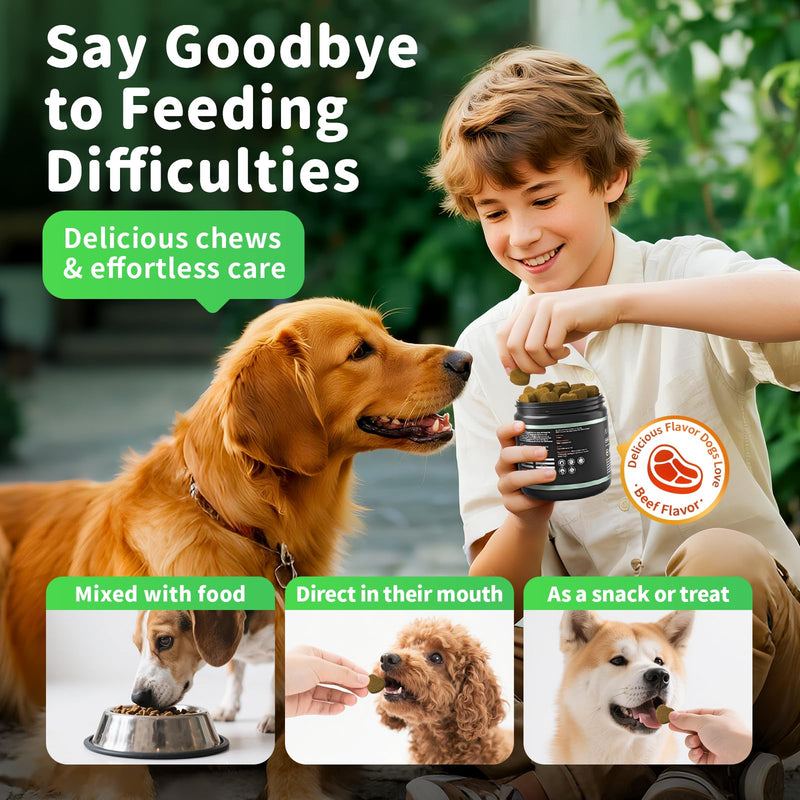 Dog Probiotics & Digestive Enzymes – Pumpkin Fiber Chews for Gut Health, Diarrhea & Upset Stomach Relief, Gas & Stool Support, Beef Flavor Soft Chews – 90 Count 90 Count (Pack of 1)