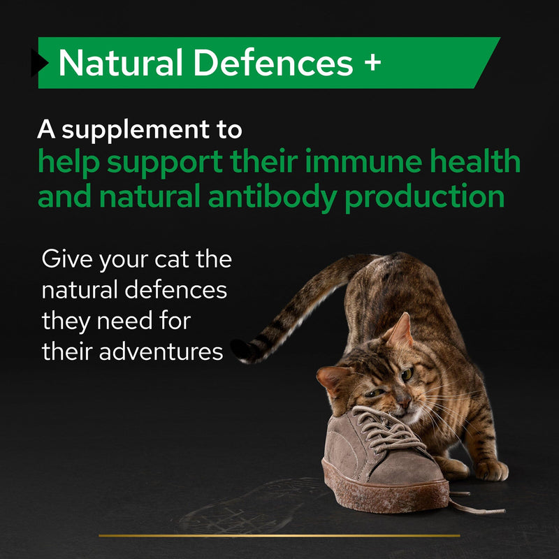 PRO PLAN Cat Natural Defences Supplement | Immune health support, immune system, antibody production | with postbiotics | Adult and Senior cats | Powder 60 g