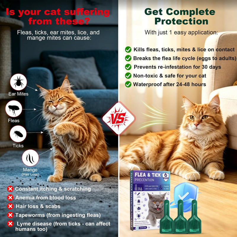 Topical Flea and Tick Product for Cats, 6 Doses, 0.8 mL Each, for Use Only as Directed on Product Label