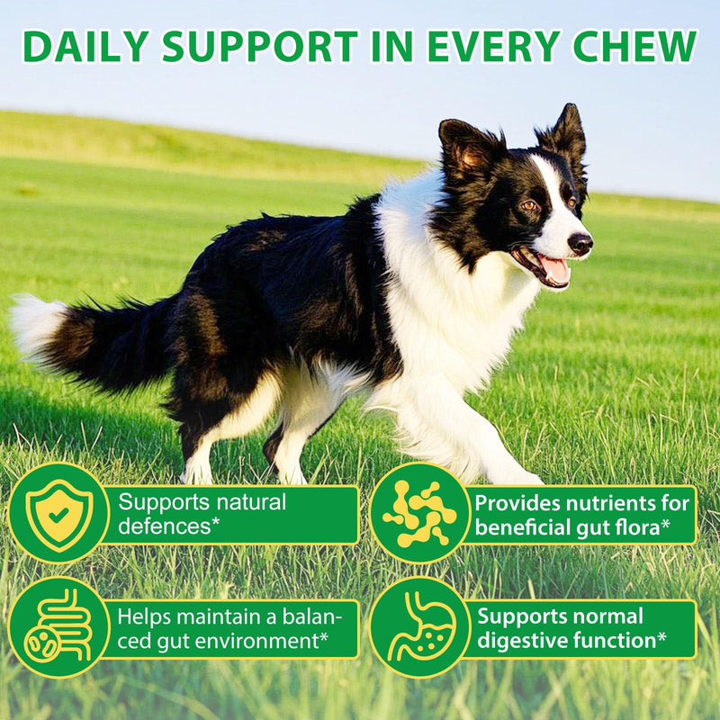 Vinimay Pre & Probiotics for Dogs – 30 Chews | Digestive & Gut Health Treats | Supports Normal Stool Consistency, Skin Comfort & Seasonal Wellbeing | Gentle Daily Formula for All Breeds