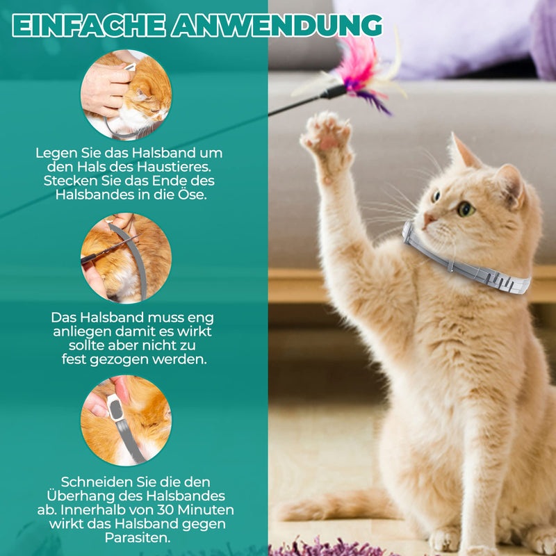 Tick collar for cats and small dogs | Luminous prevention collar against parasites with up to 8 months of protection | Fluorescent collar universally adjustable to any size - BeesActive Australia