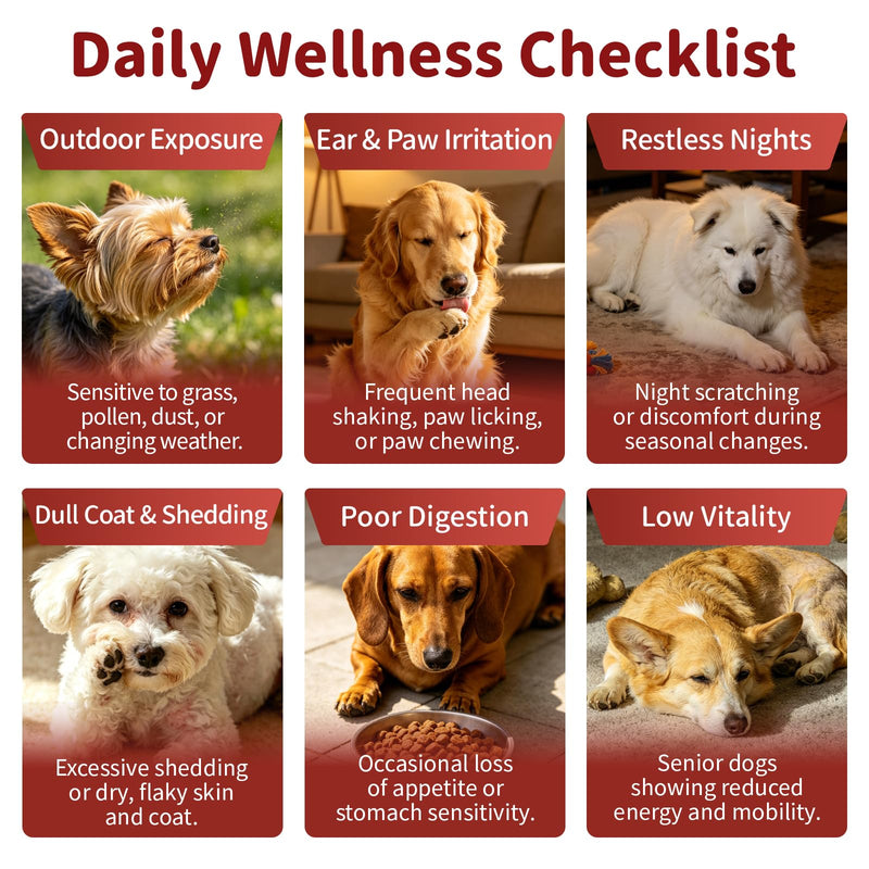 Dog Allergy Chews - Paw Licking, Seasonal Allergy & Itch Relief - Probiotics for Dogs Immune & Gut Health with Turkey Tail Mushroom, Pumpkin - Bacon Flavor - 90 Count 90 Count (Pack of 1)