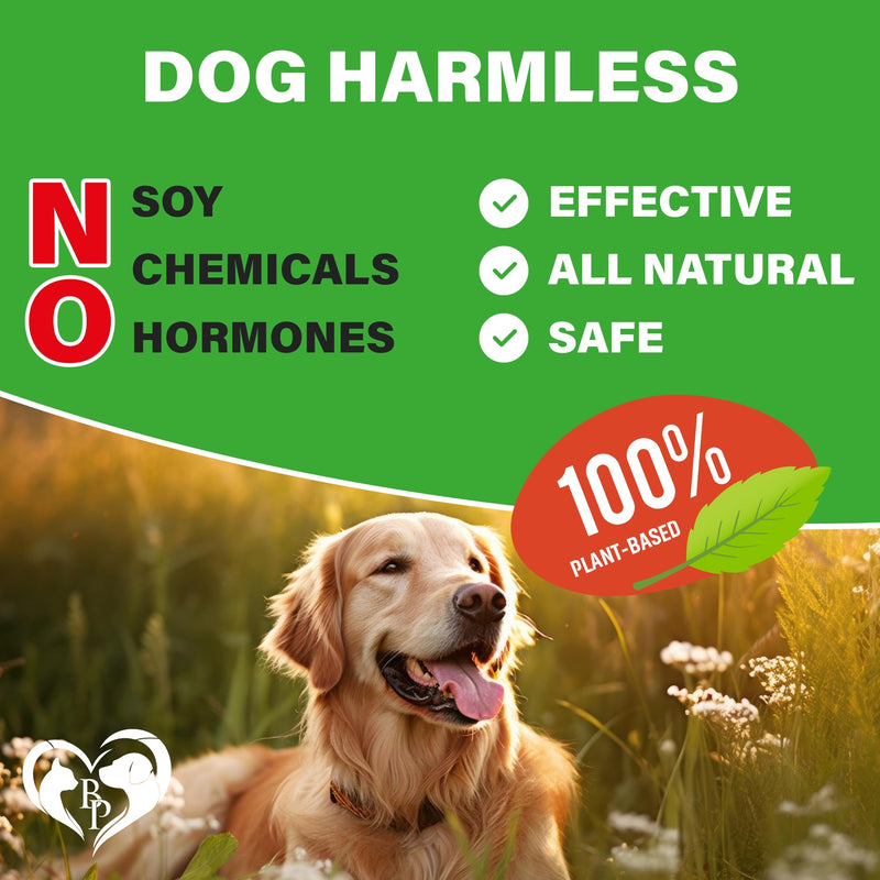 Dog Hip and Joint Supplement & Arthritis Pain Relief Treats - Glucosamine Chondroitin MSM Soft Chews for Senior Dogs - Natural Medicine & Support Mobility - Turmeric Vitamins for Dysplasia - USA - PawsPlanet Australia