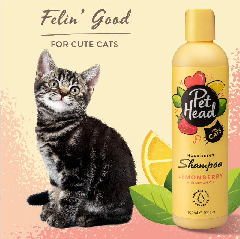 PET Head Felin' Good Shampoo for Cats 10.1 fl. oz. Fruity Scent. Softens and nourishes The Coat. Hypoallergenic with Natural and Vegan Ingredients. Gentle Formula for Cats and Kittens. Made in USA - BeesActive Australia