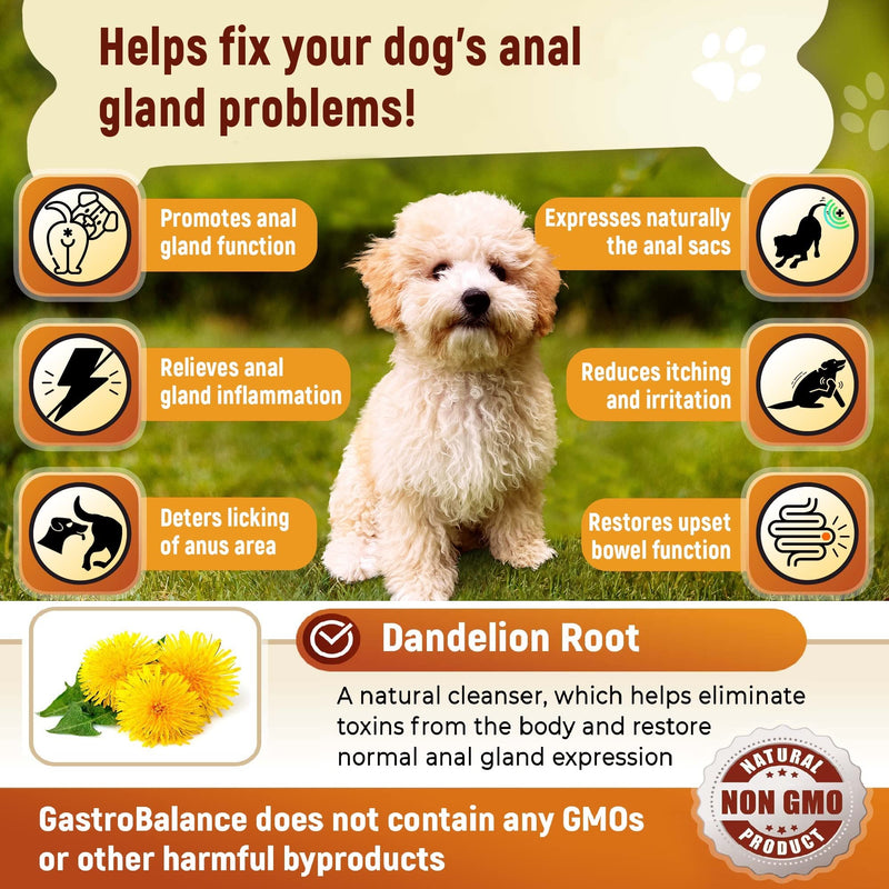 gland treatment for dogs - 60 natural soft chews emptying dog gland sacs – Effective dog gland treatment (Chicken flavour) Chicken flavour