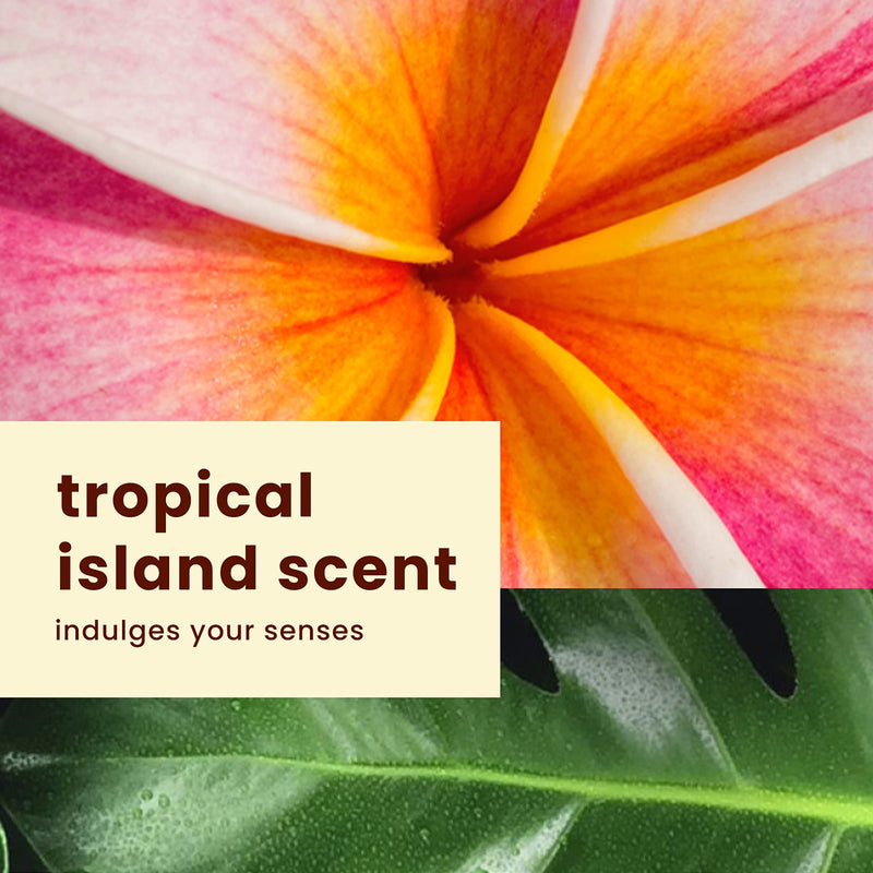 Hawaiian Tropic Weightless Hydration Clear Spray Sunscreen SPF 30, 6oz Twin Pack | Hawaiian Tropic Sunscreen SPF 30, Sunblock, Oxybenzone Free Sunscreen, Spray On Sunscreen Pack, 6oz each - BeesActive Australia