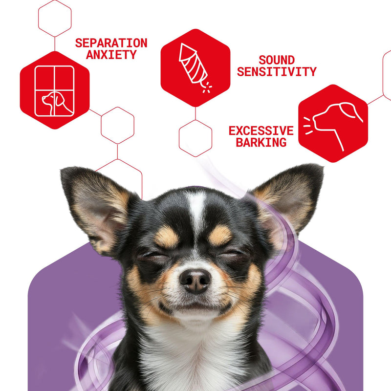 Omni Dog Calming Plug In Diffuser with Pheromones for Dogs - Inspired by Nature, Helps Calm Your Dog from Separation Anxiety, Fireworks, Travel or Tension, Covers 700 Sq Ft, Diffuser & x2 48ml Refills Calming Plug In Diffuser + 2x Refill