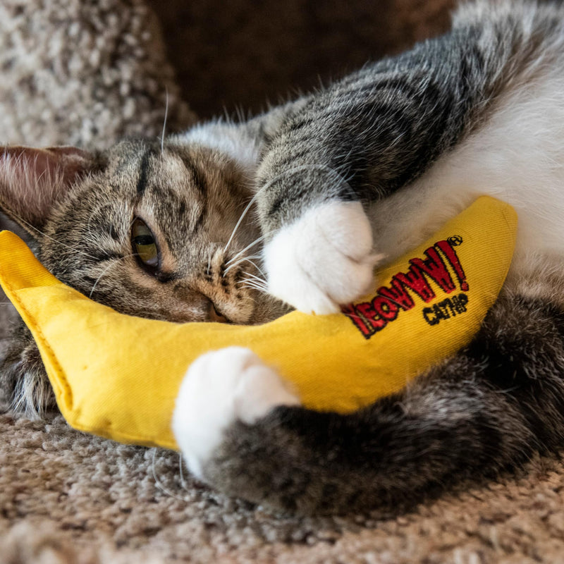 Yeowww! Catnip Toy, Yellow Banana - BeesActive Australia