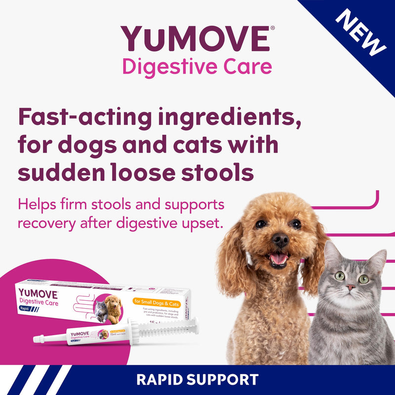 YuMOVE Digestive Care Rapid, Dog & Cats Pre and Probiotic Paste for Gut Health, Digestive Supplements with Fast-Acting Ingredients for Small Dogs & Cats, 2 x15ml 2 Pack 15ml