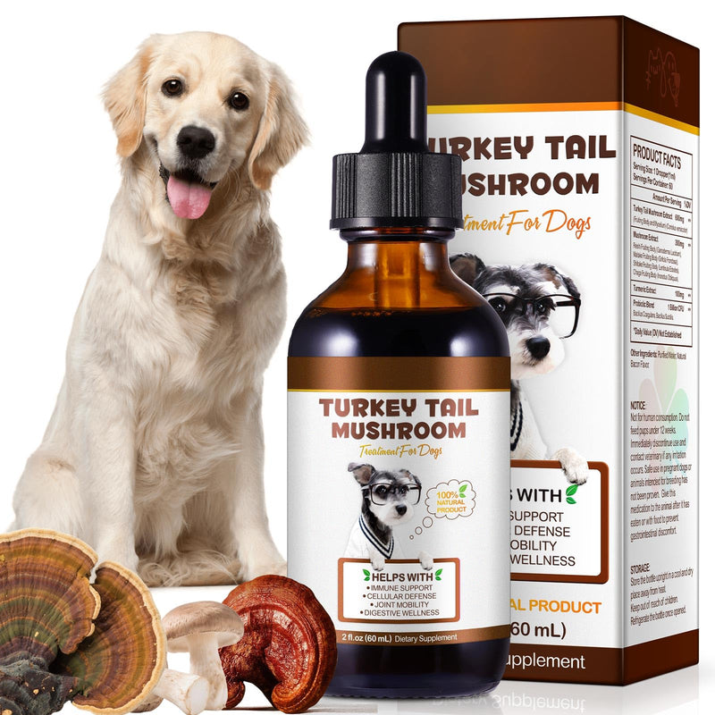 Turkey Tail Mushroom for Dogs 5X Mushroom Liquid Extract with Turmeric & Probiotics, Immune, Digestive & Joint Support, Bacon Flavored, 60ml, 100% Natural, Alcohol-Free