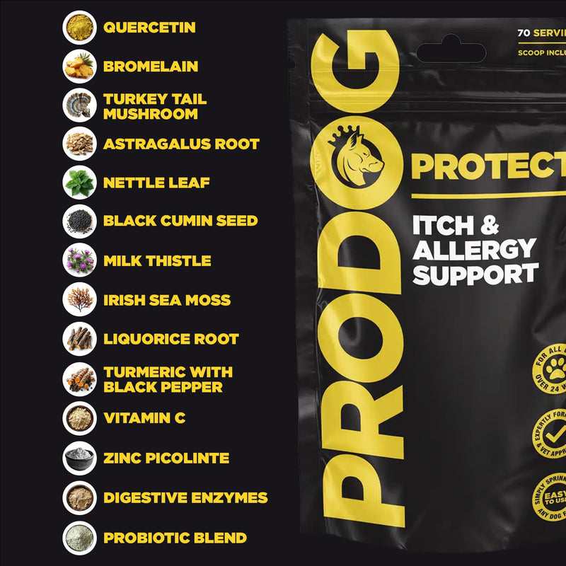 ProDog Protect Itch & Allergy Support for Dogs | 14 Natural Ingredients | Skin Supplement Powder (100g) 100 Gram