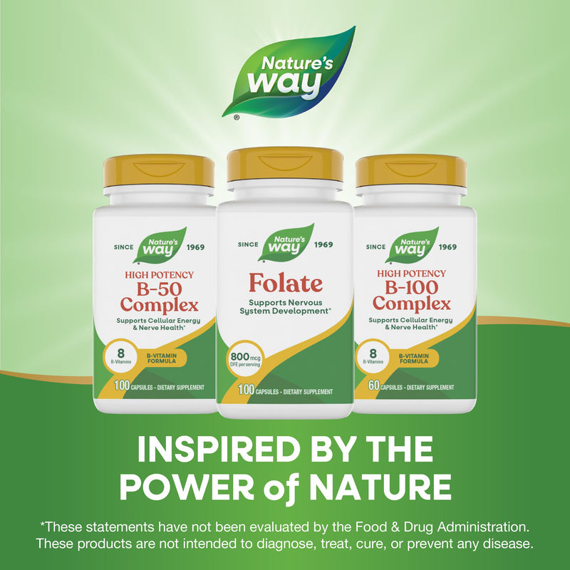 Nature's Way Folic Acid, 800 mcg DFE per serving, 100 Capsules