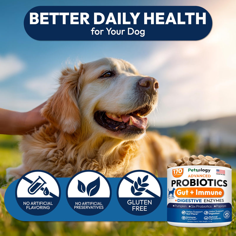 Probiotics for Dogs - 170 Dog Probiotics Chews - Digestive Enzymes & Prebiotics - Support Gut Health, Diarrhea, Gas & Constipation Relief - Itchy Skin, Allergies, Yeast Balance - Advanced Supplement 170 Chews Probiotic