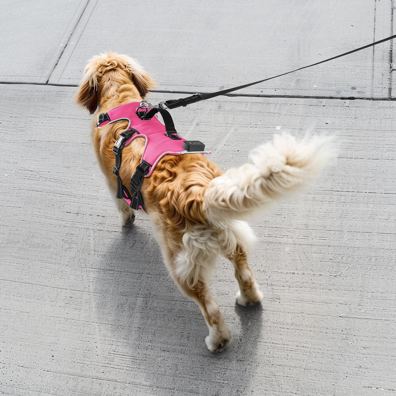 Jewyow Luminous Dog Harness, Rechargeable LED Dog Harness, LED Harness for Dogs with Soft Handle, 3 Adjustable Modes, Waterproof for Medium, Large Dogs, Pink-L Pink L - BeesActive Australia