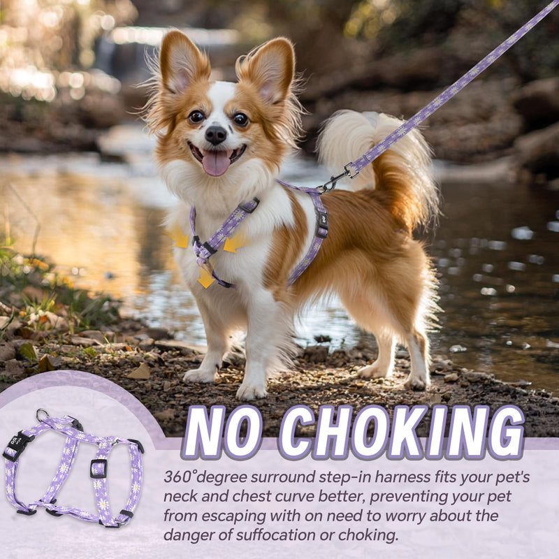 Dog Harness Leash Set, No Pull Adjustable Halter Cute Comfort Padded Handle for Medium Sized Large Small Dogs Walking Training Running with Reflective（Small,Purple） Purple - BeesActive Australia