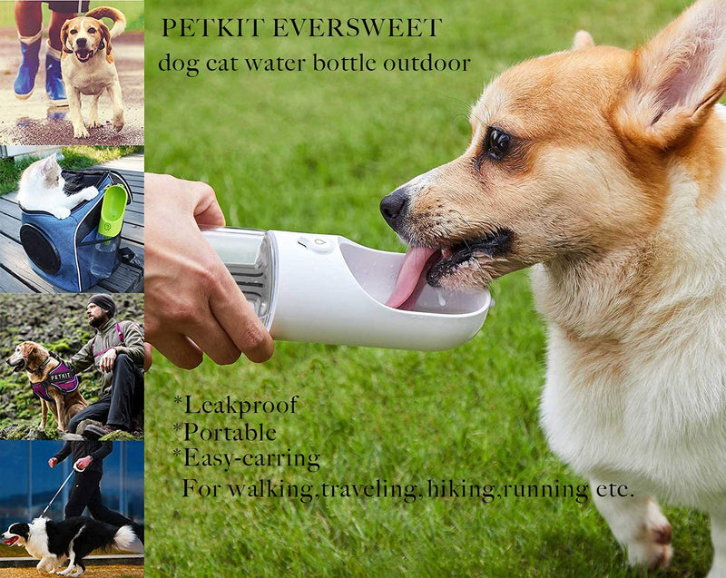 PETKIT Dog Water Bottle with Filter, Leak Proof Dog Water Dispenser with Drinking Bowl, Food Grade Material, Lightweight Portable Pet Water Bottle for Walking,Hiking,Travel, BPA Free 14 oz WHITE - BeesActive Australia