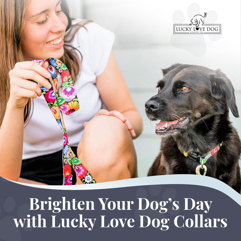 Lucky Love Dog - Adjustable Dog Collar with Easy Click Buckle for Small to Large Dogs, Durable, & Comfortable Collar for Male & Female Dogs, Pet Collar for Puppies & Adult Dogs - Blackbird, Medium Medium | 13-21" Blackbird Collar Only - BeesActive Australia