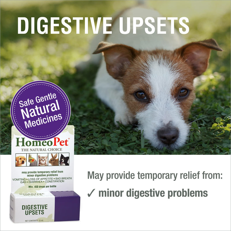 HomeoPet Digestive Upsets, Natural Pet Digestive Support, Digestive Supplement for Dogs, Cats, and Small Pets, 15 Milliliters 15mL - BeesActive Australia