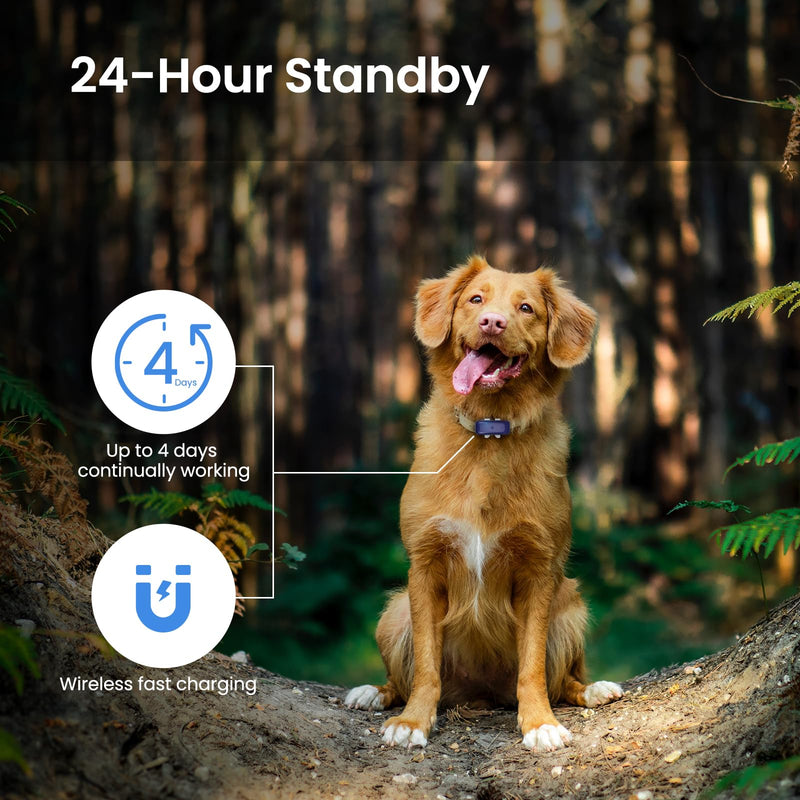 P1 GPS Dog Cat(6.5 lbs+) Tracker - Pet GPS Location Tracker for Anti Lost No Distance Limited, Waterproof, Real Time Tracking & Smart Activity, Fit All Pet Collars, Blue - BeesActive Australia