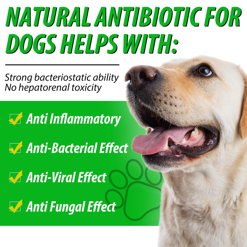 Dog Antibiotics, Antibiotics for Dogs, Natural Dog Antibiotics, Dog Antibiotics Multivitamin, Dog Herbal Supplements 60ml 1PCS - PawsPlanet Australia