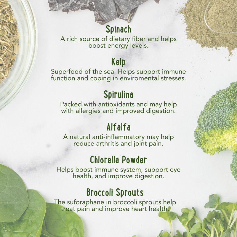 iHeartDogs Super Greens for Dogs with Broccoli Sprouts & Spirulina Powder - Seasonal Allergy & Immune Support Dog Greens Powder - Vitamins, Antioxidants & Minerals Supplement for Dogs - PawsPlanet Australia