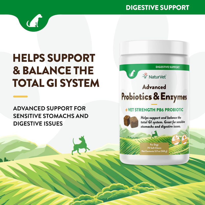 NaturVet Advanced Probiotics & Enzymes, PB6 Dog Soft Chews to Help Sensitive Stomachs and Digestive Issues, Hickory Smoked Bacon Flavored Pet Supplement for Dogs Over 6 Weeks, 70 Count Jar 70 Soft Chews