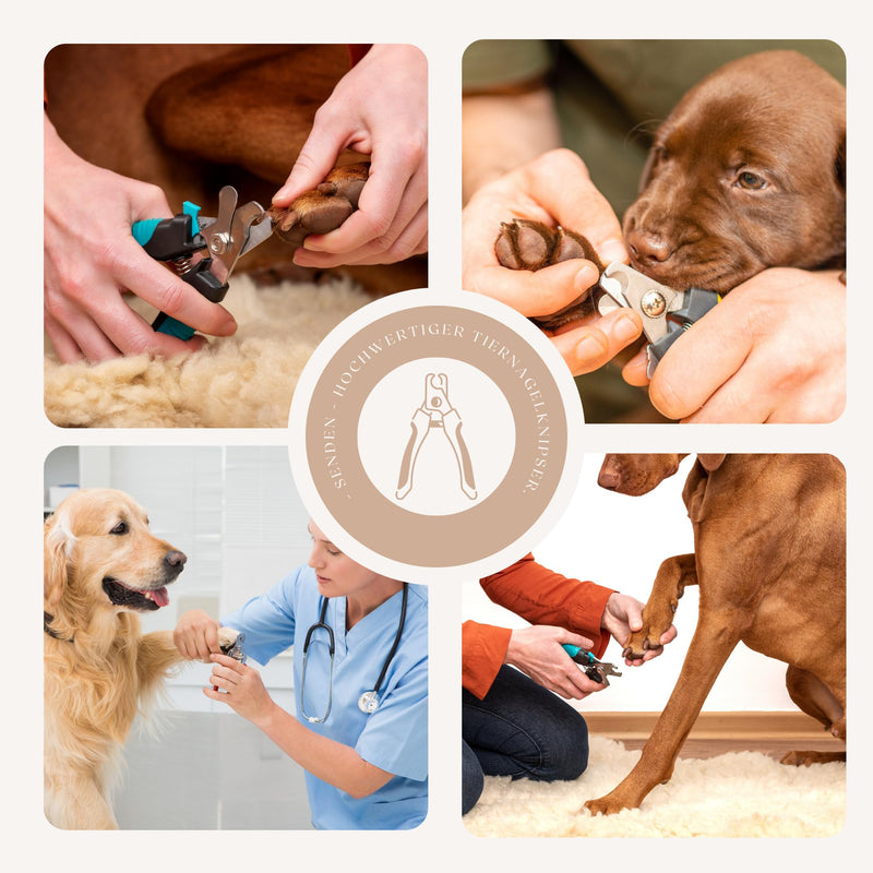 Manda® dog claw trimmer with case, nail clippers for dogs, cats and other pets + file, sharp blades made of stainless steel and with safety lock, large.