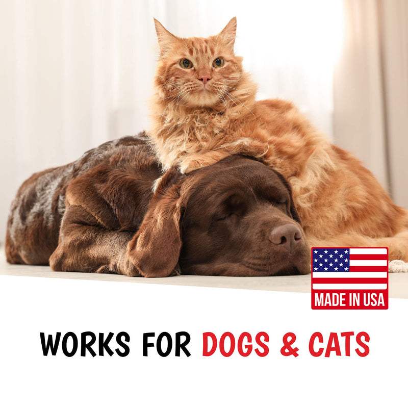 Warren London Bitter Anti-Chew Spray for Dogs & Cats – 8 oz Extra-Bitter Apple Formula | Safe, Humane No-Chew Training Aid for Furniture, Cords, Paws & More | Fast-Dry, Stain-Free | Made in USA