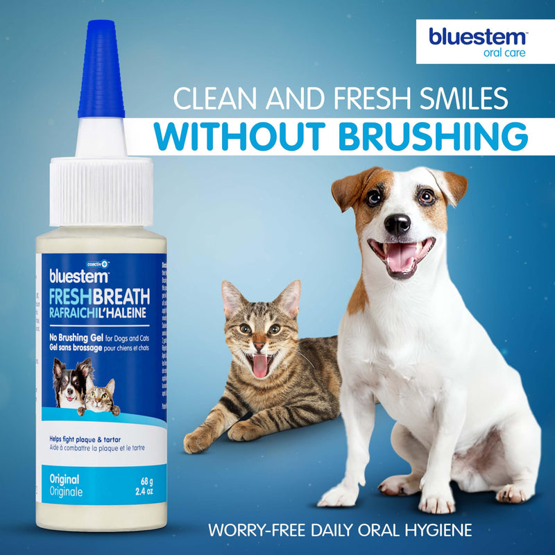 bluestemTM No Brush Dog Dental Gel - Dog Oral Gel to Freshen Breath, and Fights Plaque and Tartar - Brushless Toothpaste for Dogs Original 2.4 Ounce (Pack of 1) - PawsPlanet Australia