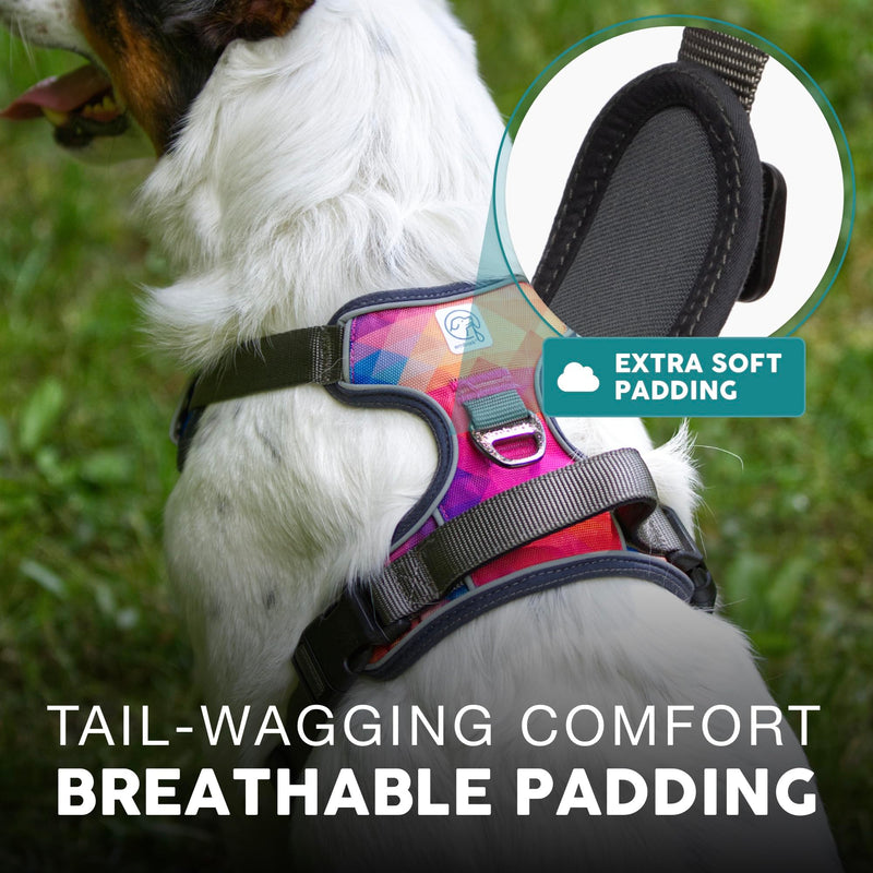 Embark Urban Dog Harness, No-Pull Reflective Trim Dog Harness for Small, Medium & Large Dogs - Military Grade Nylon, 2 Leash Clips & Gel Lined Handle. Soft & Padded Puppy Dog Vest for Any Breed M (Chest: 24-28") Aurora - BeesActive Australia