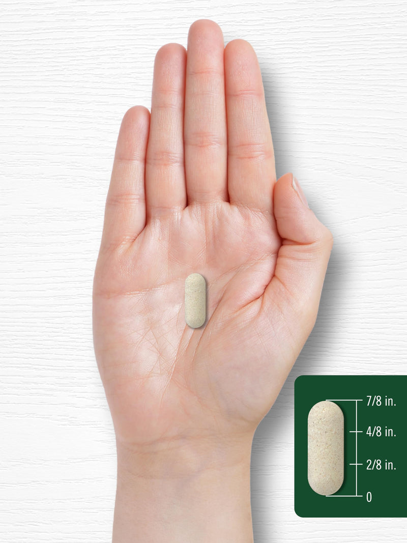 Carlyle Vitamin C 1000mg | Timed Release | 120 Vegetarian Caplets | with Rose Hips | Non-GMO & Gluten Free Supplement