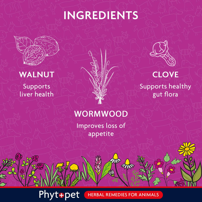 Phytopet Wormwood Complex, All Natural Pet Remedy Intestinal Hygiene, Health and Wellbeing, Herbal Supplements for Dogs and Cats, 30ml - 100% Herbal Phytopet Pet Supplies