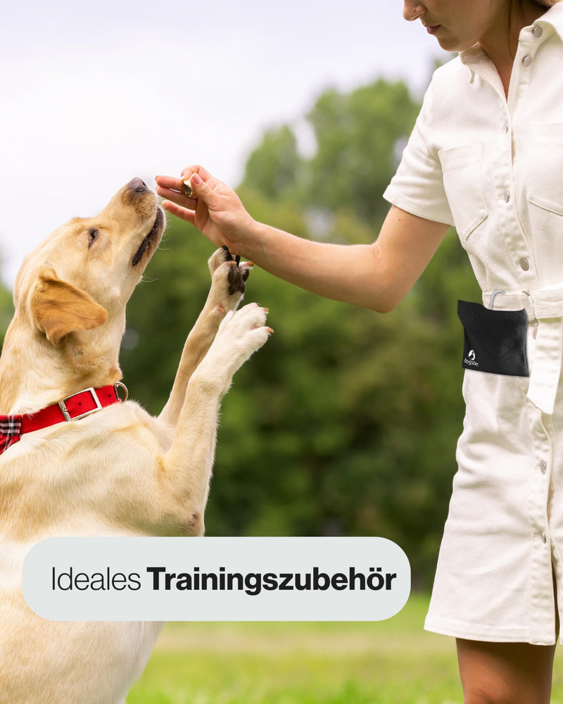 DOGSTER® treat bags for dogs - treats always with you - snack bag - quick access to reward - including carabiner - treat bag DOG01 - BeesActive Australia