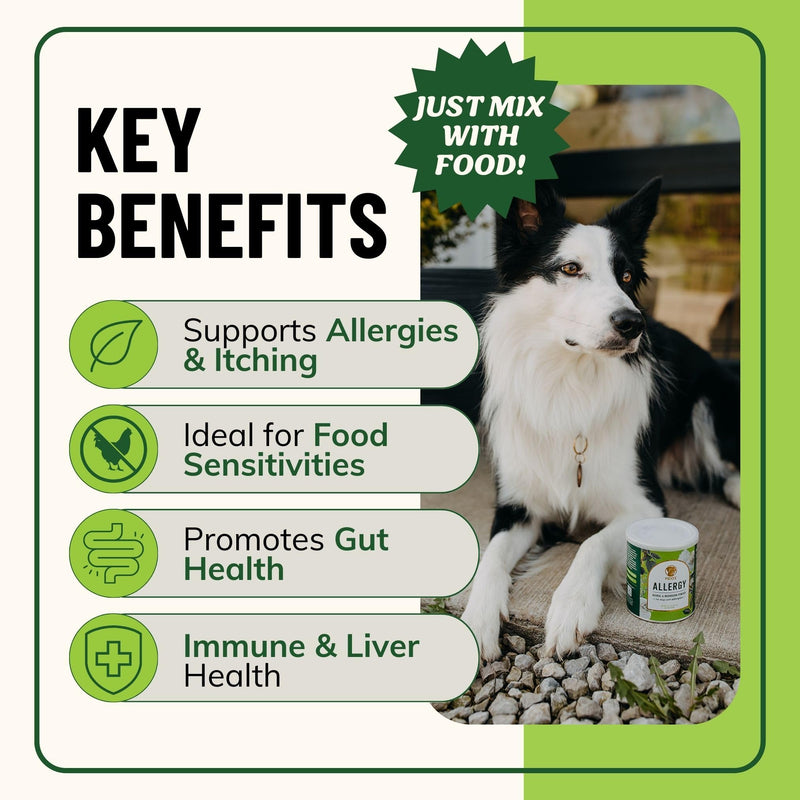Fido's Herbal Allergy And Itch Relief For Dogs - No Fillers & Binders - 3.61oz Sensitive Stomach Dog Immune and Allergy Supplement - Best Itchy Skin Relief For Dogs from Pollen, Grass & Food Allergies
